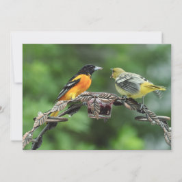 Alimente-me - Cartão de Saudação Simples