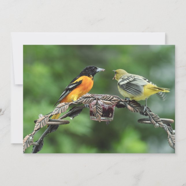 Alimente-me - Cartão de Saudação Simples (Frente)