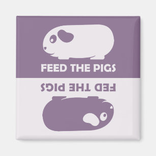 Alimente os porcos - imã de geladeira da cobaia