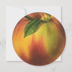 Alimento Antigo Fruta, Pêssego Orgânico Maduro com