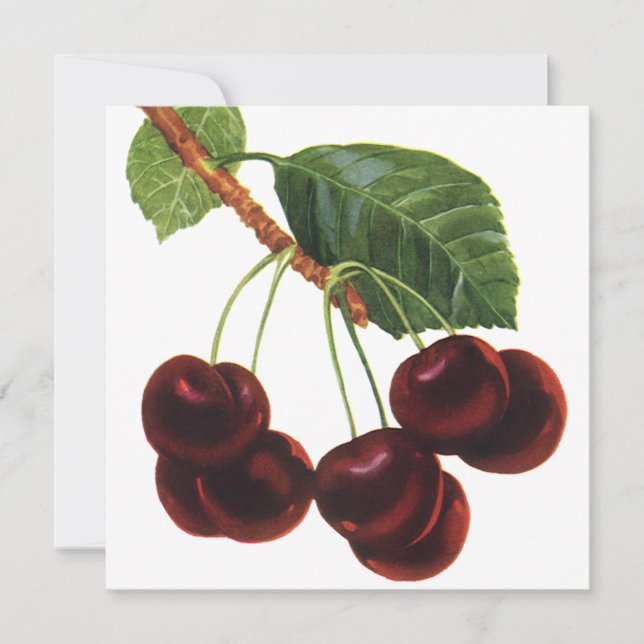 Alimentos de Frutas Antigas, Cerejas Maduras de um (Frente)