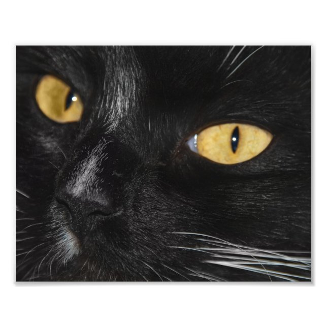 Alinhamento de Foto Preto Mais Negra (Frente)