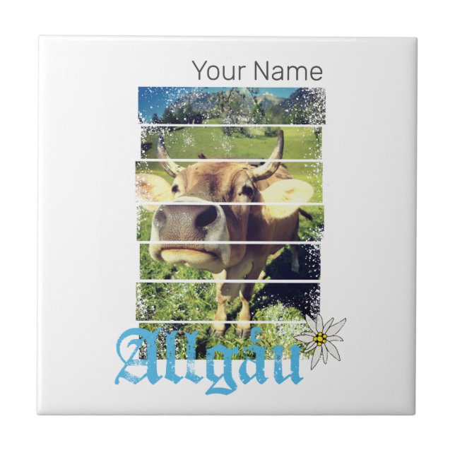 Allgäu Alps Vintage Cow Bavaria Alemanha Souvenir (Frente)