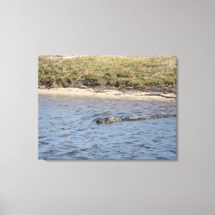Alligador na Canvas de água