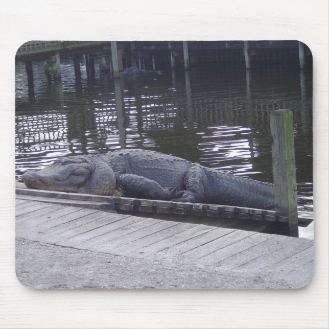 Alligator Mouse Pad (Frente)