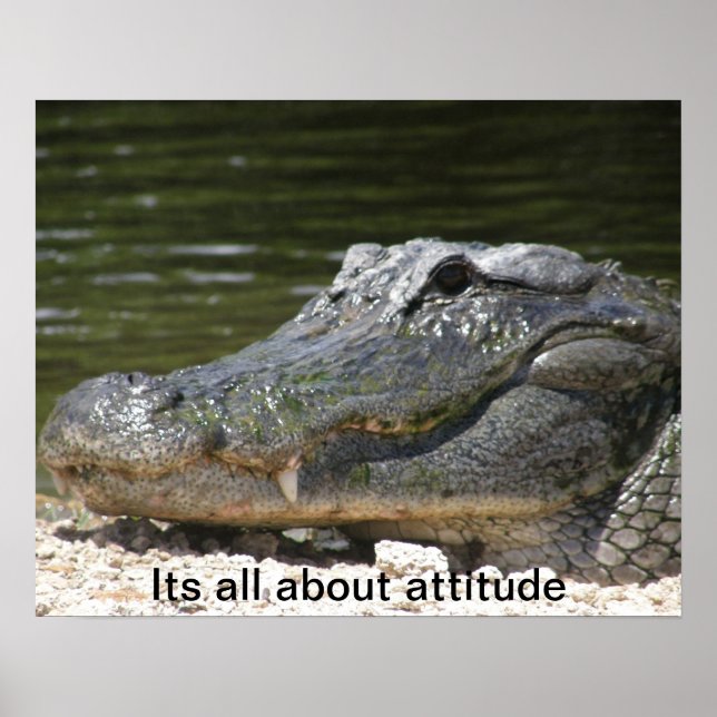 ALLIGATOR POSTER (Frente)