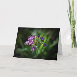 Allium, cartão