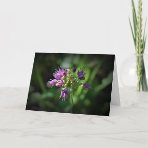 Allium, cartão