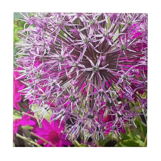 Allium & Summer Flowers Azulejo cerâmico (Frente)