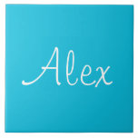 Alluring Aqua<br><div class="desc">Este baralho na moda aqua é perfeito para as suas luvas. Isso vai adicionar beleza aos seus jogos de cartas. Também é personalizável fazer dele realmente seu.</div>