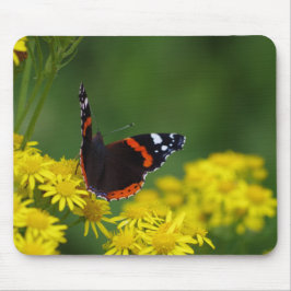 Almirante vermelho borboleta Mousepad