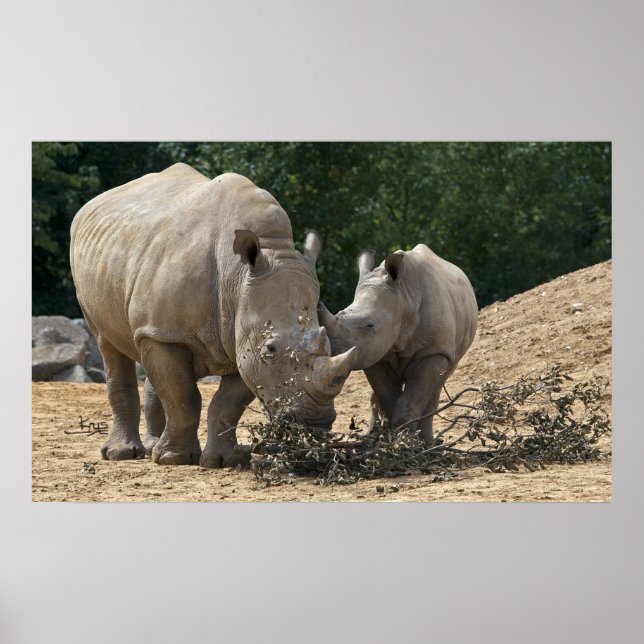 Almoço com Impressão de Mãe (Frente)