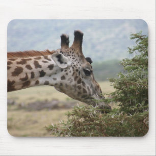 Almoço na Árvore Acacia - Mousepad