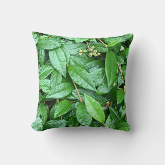 ALMOFADA しっとり濡れた緑クッション