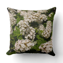 20" x 20" Oakleaf Hydrangea