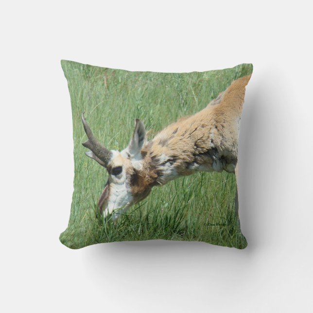 Almofada A11 Pronghorn Antelope Grazing (Frente)