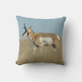 Almofada A45b Pronghorn Antelope Buck
