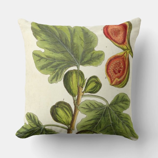 Almofada A árvore de figo, chapeia 125 "de um erval (Frente)