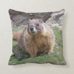 Almofada A marmota de Palouse cai travesseiro do parque