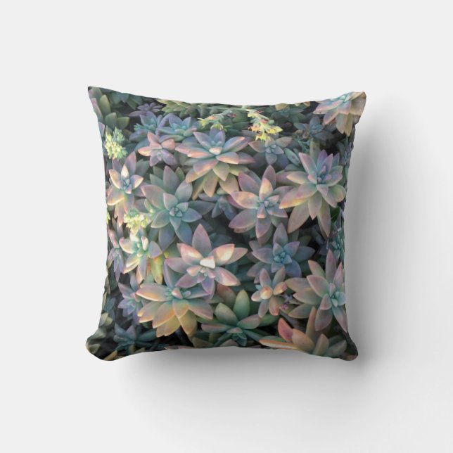 Almofada A planta estrelado do cacto com rosa, e o verde (Frente)