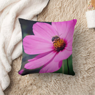 Almofada Abelha De Mel Sobre Cosmos Rosa Fechar