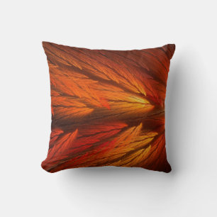 Almofada Abstrato Orange Feather Fracate Travesseiro