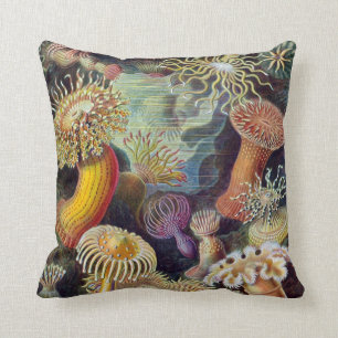 Almofada Actiniae por Ernst Haeckel