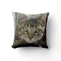 Adicione seu travesseiro favorito das fotos r1 do