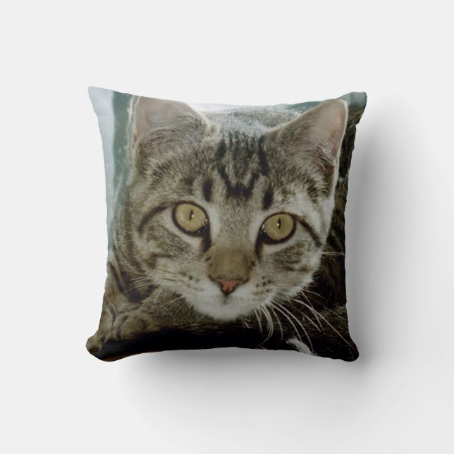 Almofada Adicione seu travesseiro favorito das fotos r1 do (Frente)