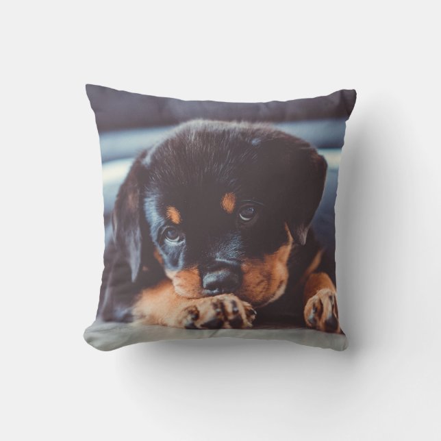 Almofada Adorável cachorrinho Rottweiler descansando (Frente)