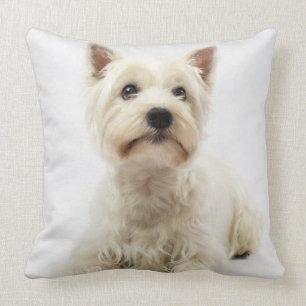 Almofada Adorável Highland West Highland Terrier branco