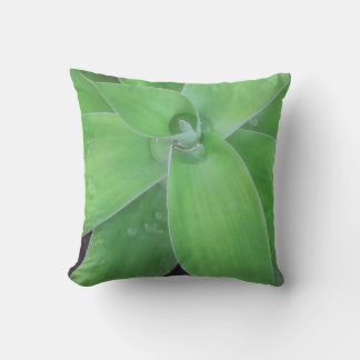 Almofada Agave e Raindrops