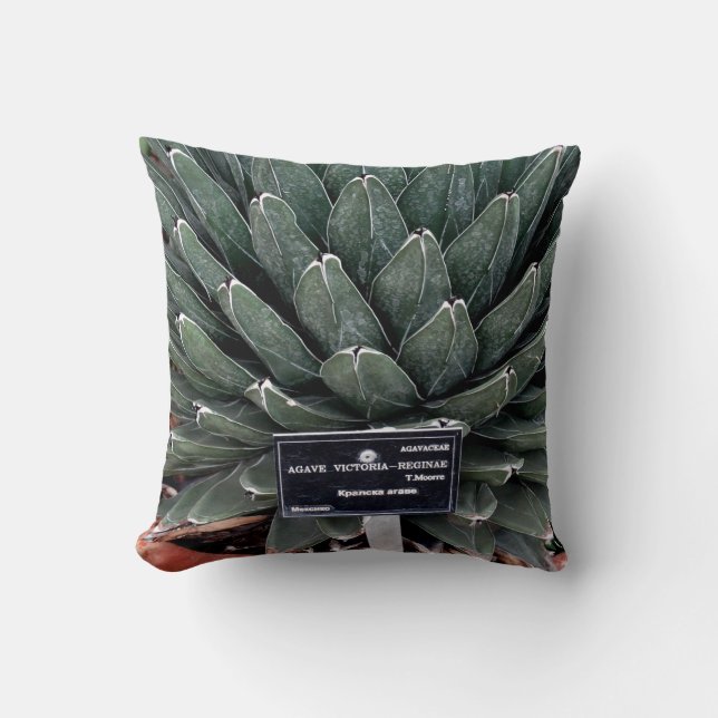 Almofada Agave Planta Foto Lançada Cushion 41 cm x 41 cm (Frente)