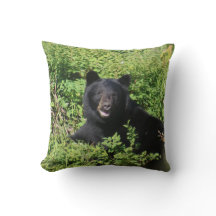 Alasca - Urso Negro em Berry Bushes