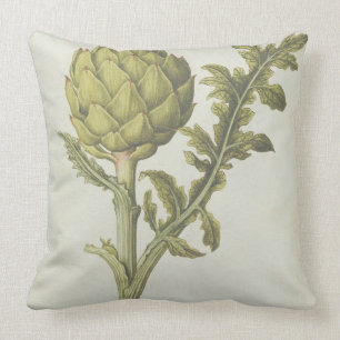 Almofada Alcachofra: Scolymus do Cynara, c.1568