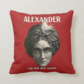 Almofada Alexander o homem que sabe - travesseiro