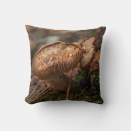 Almofada Almofada, fotografia de cogumelos