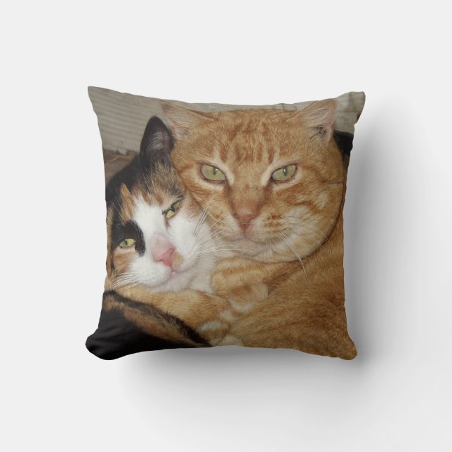 Almofada Almohada Decorativa  Gatos (Frente)