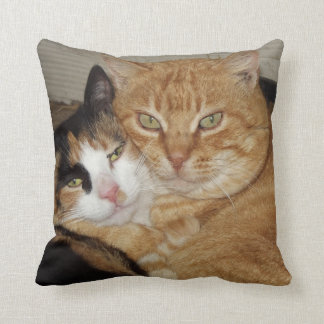 Almofada Almohada Decorativa  Gatos
