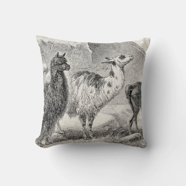 Almofada Alpacas dos lamas do modelo da alpaca do lama do (Frente)