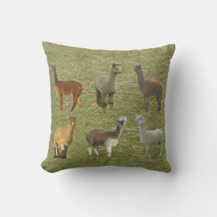 Almofada Alpacas obtidas?