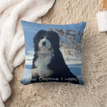 Amante de Doodle Dog Decoração Divertida para Casa