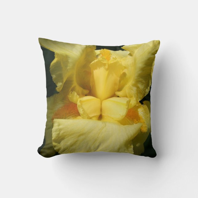 Almofada Amarelo Íris Flor Fechar (Frente)
