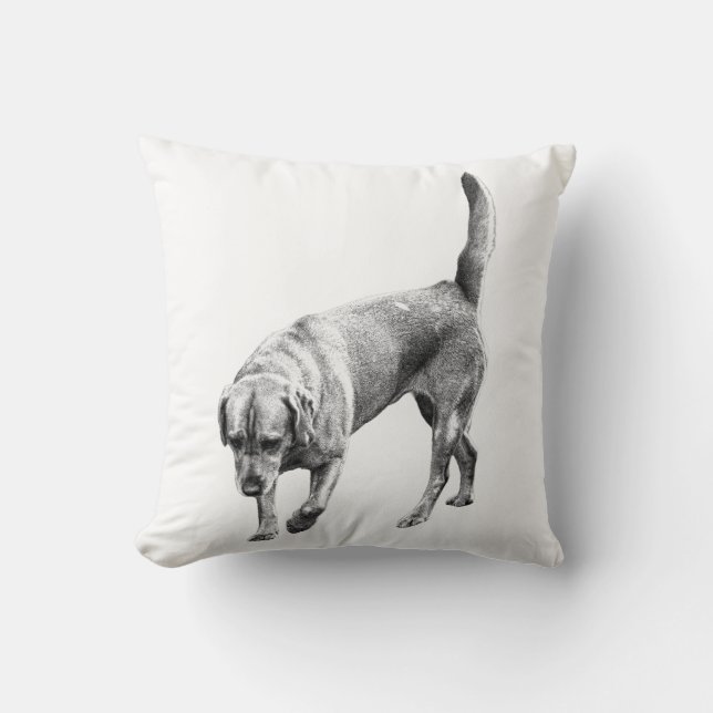 Almofada Amber Twilight Watcher (Frente)