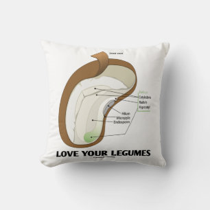 Almofada Ame Suas Leguminosas Bean Dicotyledon