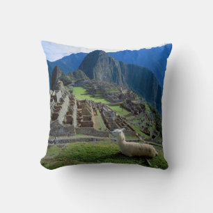 Almofada América do Sul, Peru. Uma lhama descansa em uma co