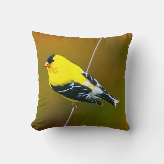 Almofada American Goldfinch - Fotografia original (Frente)