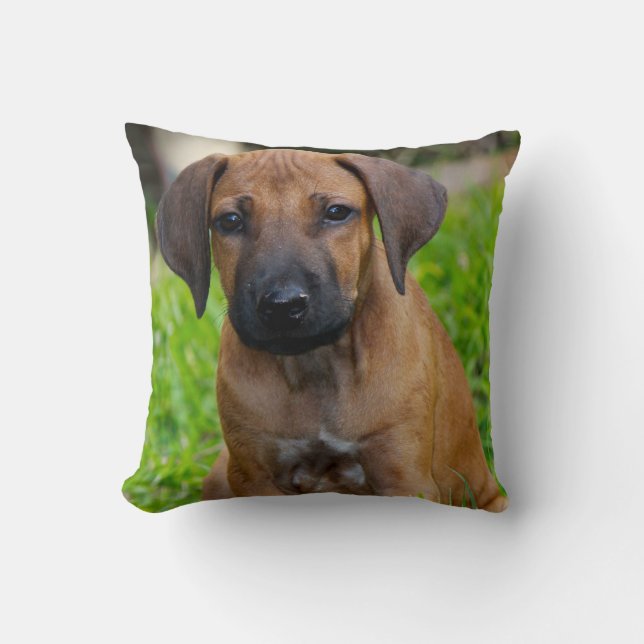 Almofada Amor de filhote de cachorro IV (Frente)