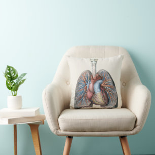 Almofada Anatomia Humana Vintage Pulmões Coração Órgãos San