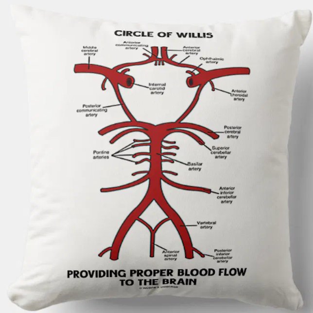 Almofada Anél do Willis que fornece o cérebro apropriado da (Throw pillow featuring Circle of Willis diagram, complete with labels of all key arteries)